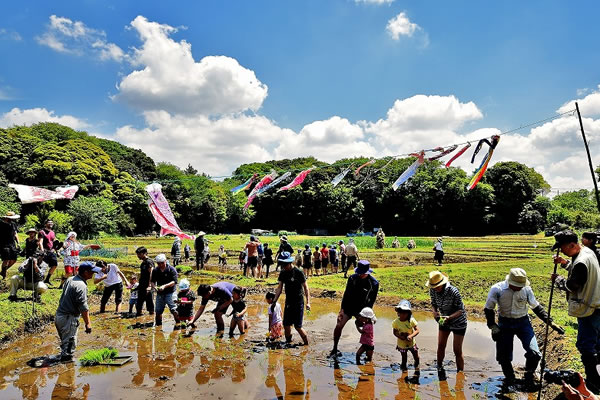 ほたる野を守るNORAの会、活動の様子