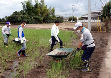 田んぼに流入した土砂から石を取り除く作業の様子